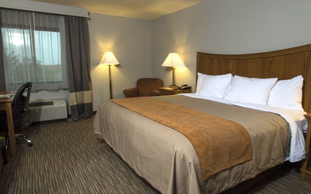 Comfort Inn South - Springfield