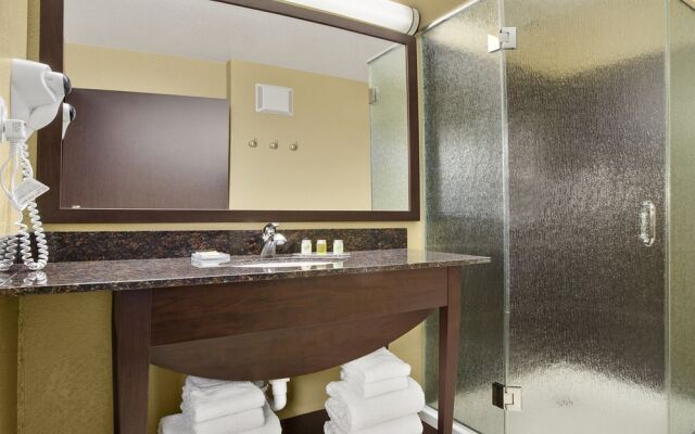 Microtel Inn & Suites by Wyndham Buda At Cabelas