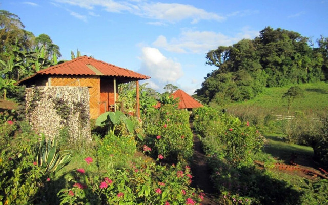 Finca Neblina del Bosque