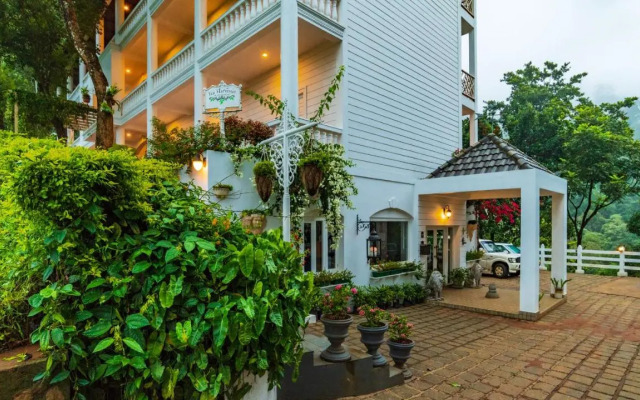 Tea Harvester Munnar