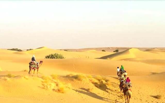 Abu Safari Jaisalmer