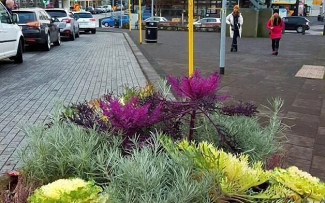 Reykjavik Center Condos