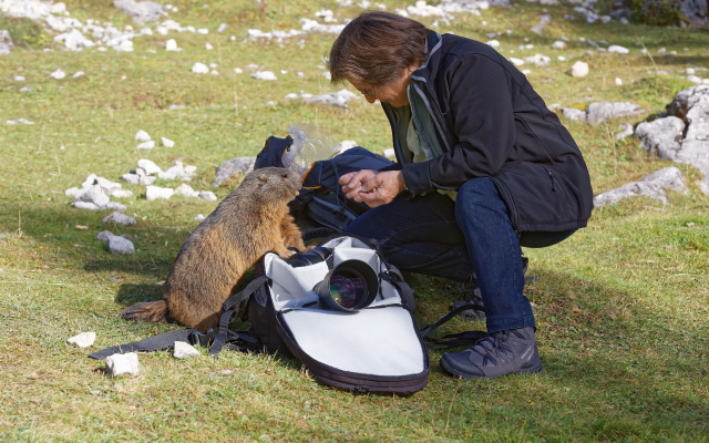 Aparthotel Hirschenau