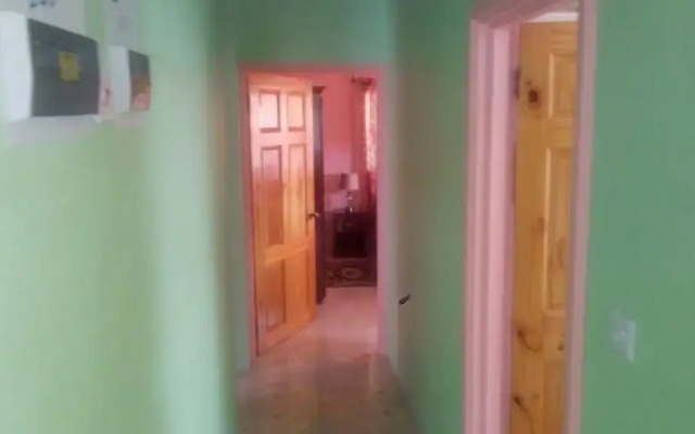 Fabulous Lab Seaview 2