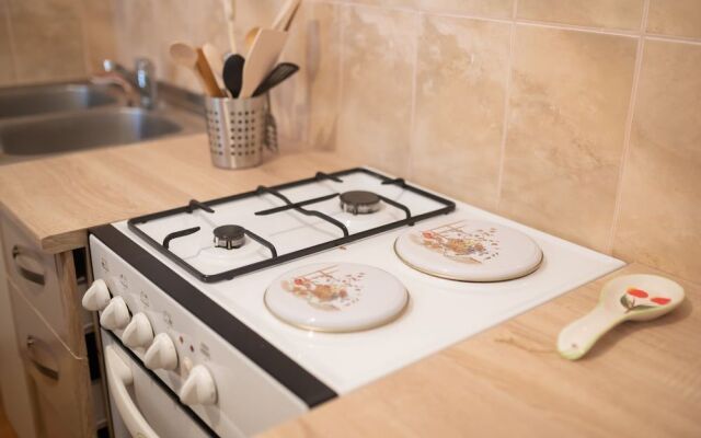 Downtown apartment Danica