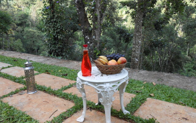 Tea Harvester Munnar