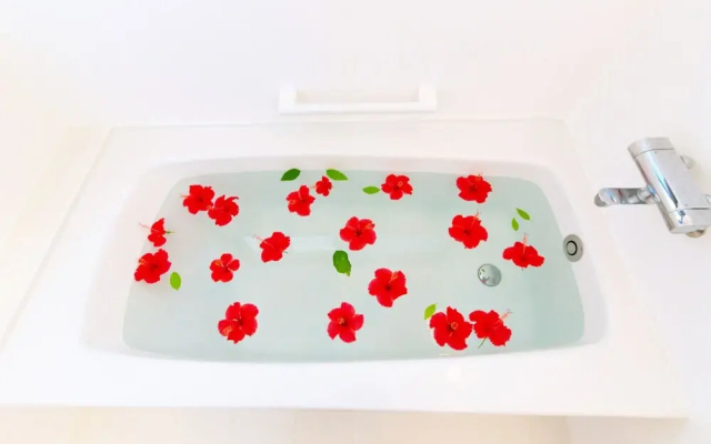 Palm Villa Ishigakijima yugafu