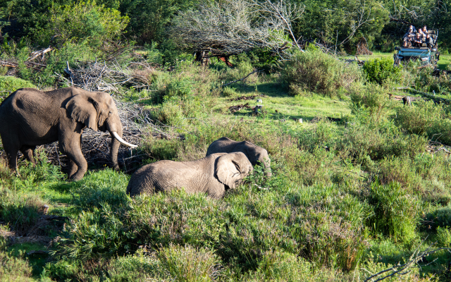 Gondwana Game Reserve