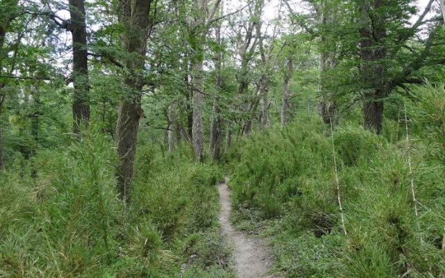 Estancia Miralejos Posada
