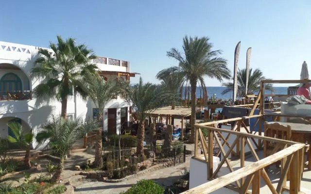 Red Sea Relax