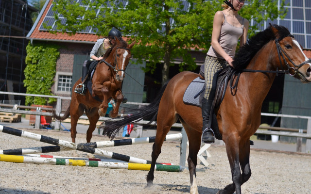 Ponyhof Georgenbruch