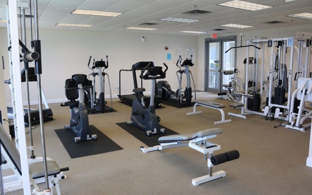 Emerald Dolphin by Surfside VR