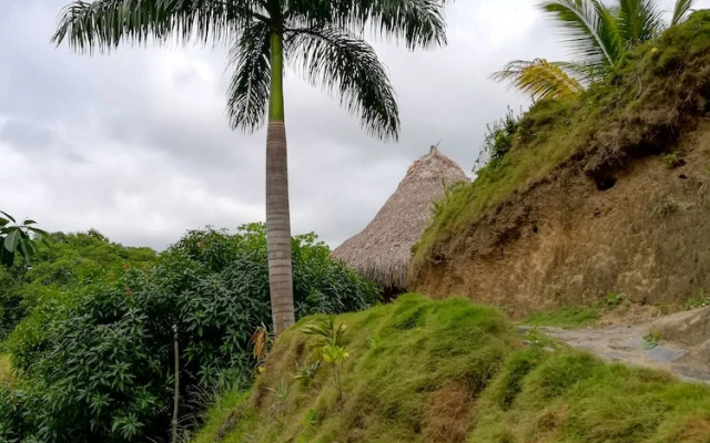 Ecohabs Bosques del Tayrona