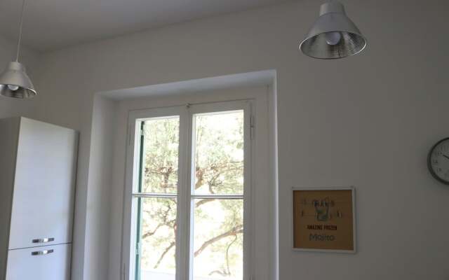 Tomely's House