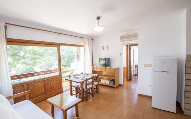 Bosc y Sol - Formentera Libre