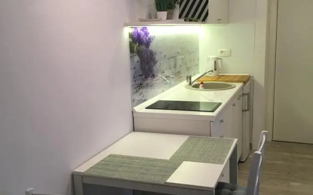 Studio Apartment Sisi