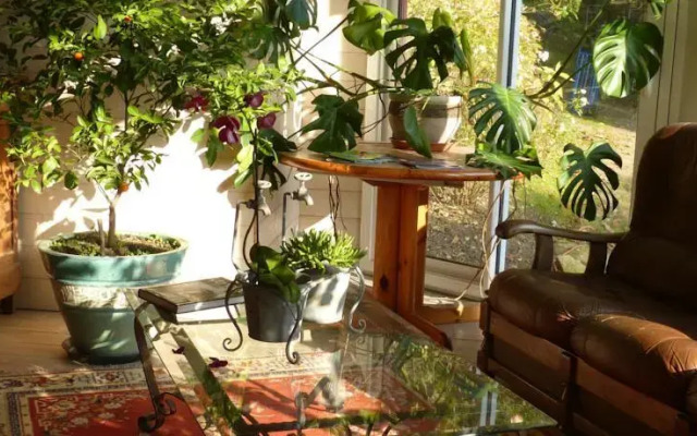 aux deux cèdres
