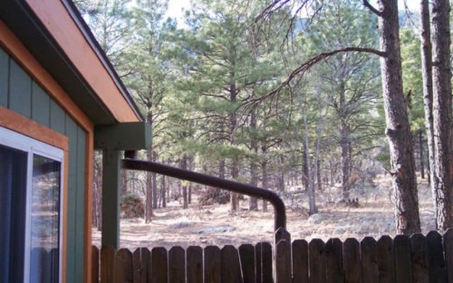 Elden Trails Bed and Breakfast