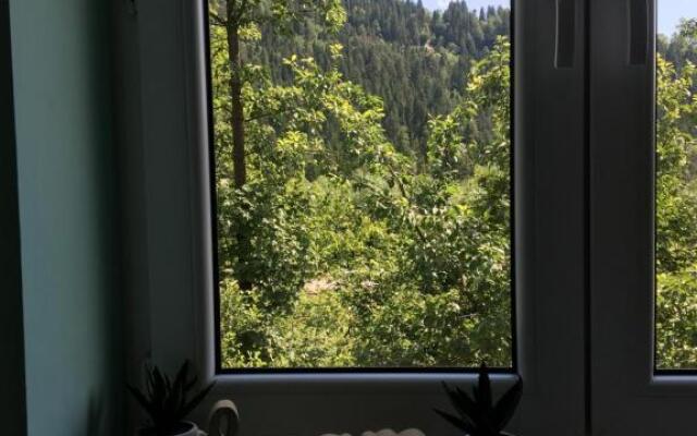 Pokoje Gościnne Pod Jaworem