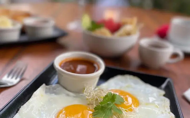 Pepem Holistic Experience - Peaceful Retreat Near Tulum