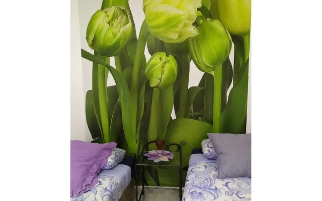 Málaga Centro Hostel