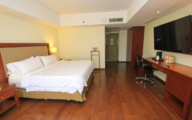 Holiday Inn Leon by IHG