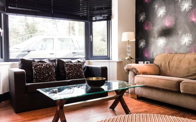 Deluxe Contemporary House - DHH