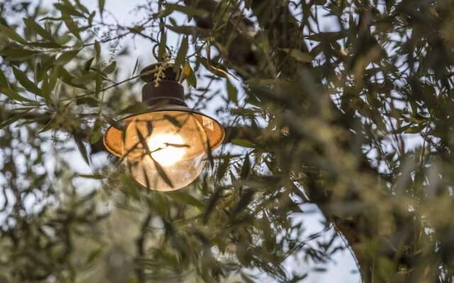 Vassilis Guest House