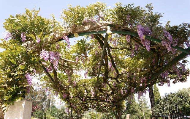 Hotel Rural Solar das Arcadas