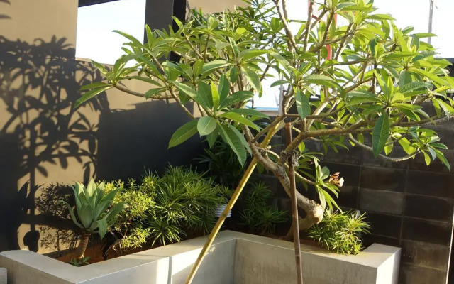 South Island 206 Hostel