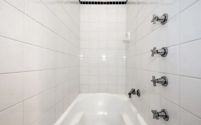 Christmas Bush Avenue No.11