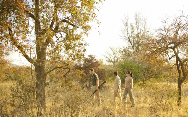 Morokolo Safari Lodge