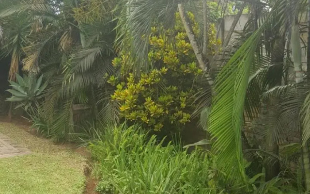 Spring Acres Guesthouse