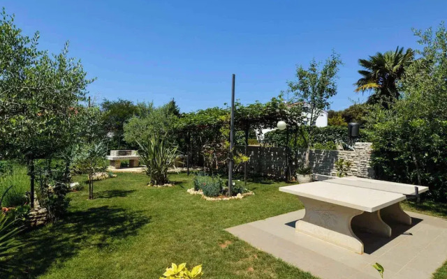 Apartments Pjescana Uvala/istrien 11166
