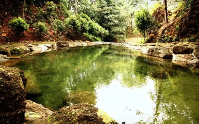 Refreshing Springs Resort