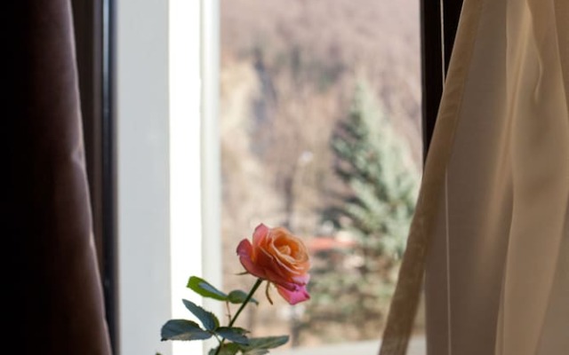 Baron Hotel Yaremche