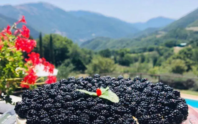 Agriturismo Roccagelli