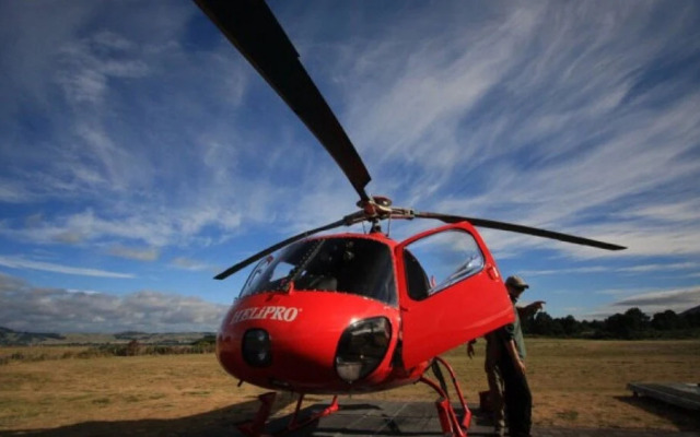 The Point Villas Taupo