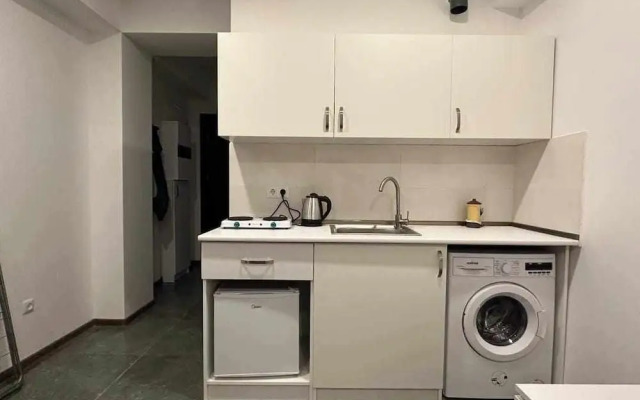 Bakuriani Apartment Studio