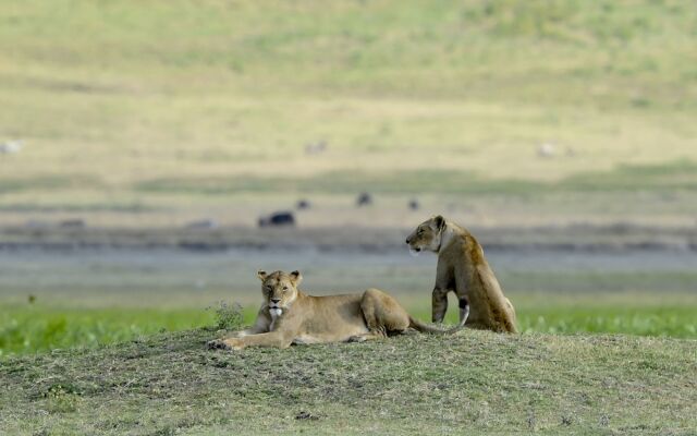 Ngorongoro Serena Safari Lodge