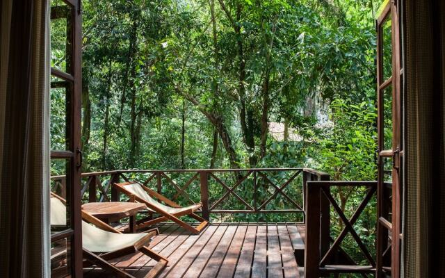 Our Jungle House