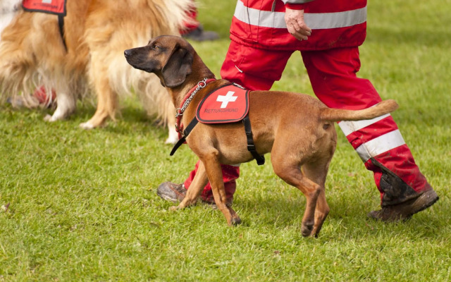 Motel6 Duluth, GA - Atlanta - Gwinnett Place