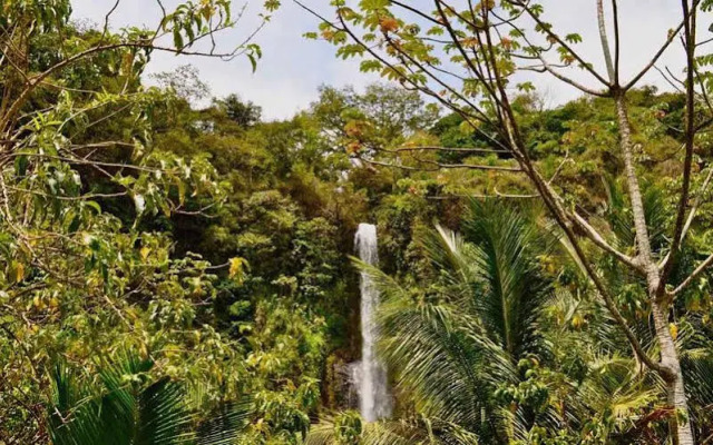 Hotel Cielo Azul Resort