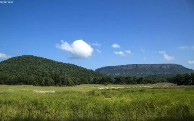 The Tiger Valley Resort