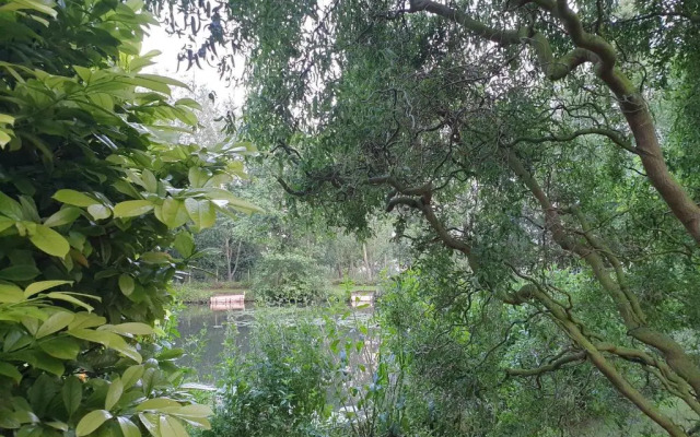 Langdale Lodge Bed & Breakfast