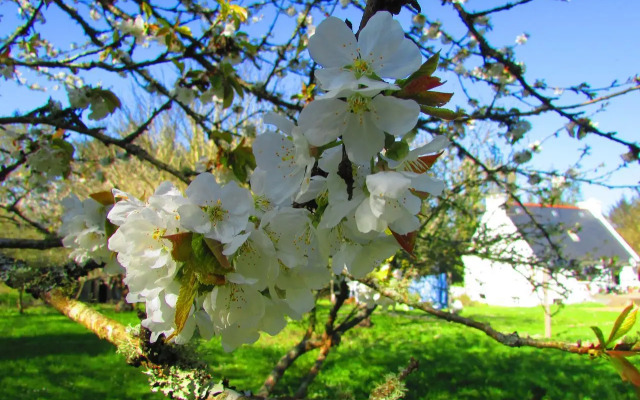 Chambre D'hôtes La Vallée