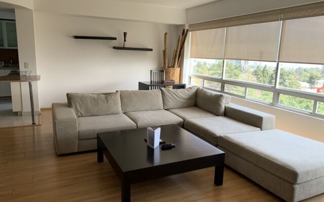 Large Private Apartment in the Heart of the City @Cdmx-Santafe-801