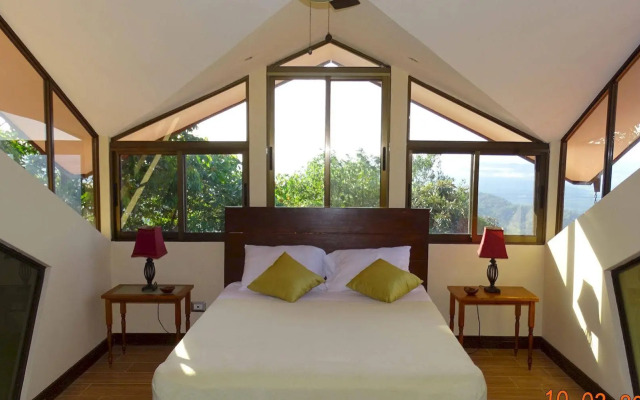 Sortisomnis - фото 4