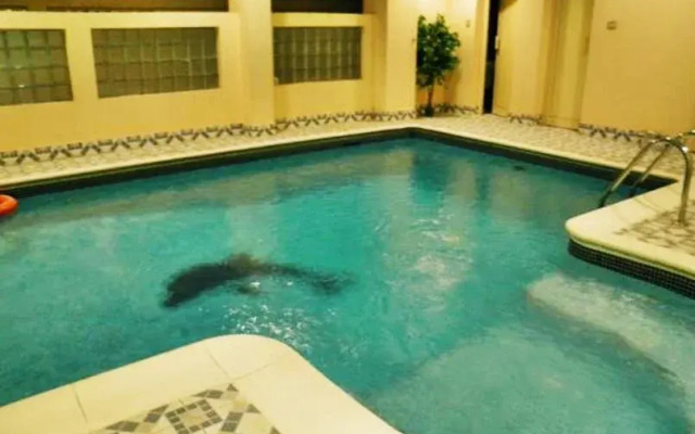 Euro Plaza Apartments