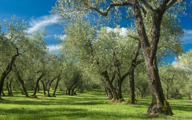 Tenuta di Santa Lucia